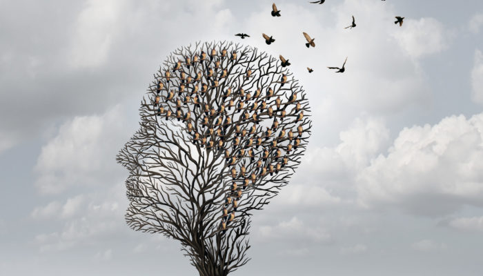 Memory loss concept and Alzheimer patient surreal symbol as a medical mental health care concept with an empty head shaped tree and a group of birds shaped as a brain for neurology and dementia or losing intelligence.